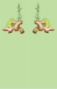 Ginger Green Bookmark