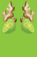 Ginger Root Green Bookmark